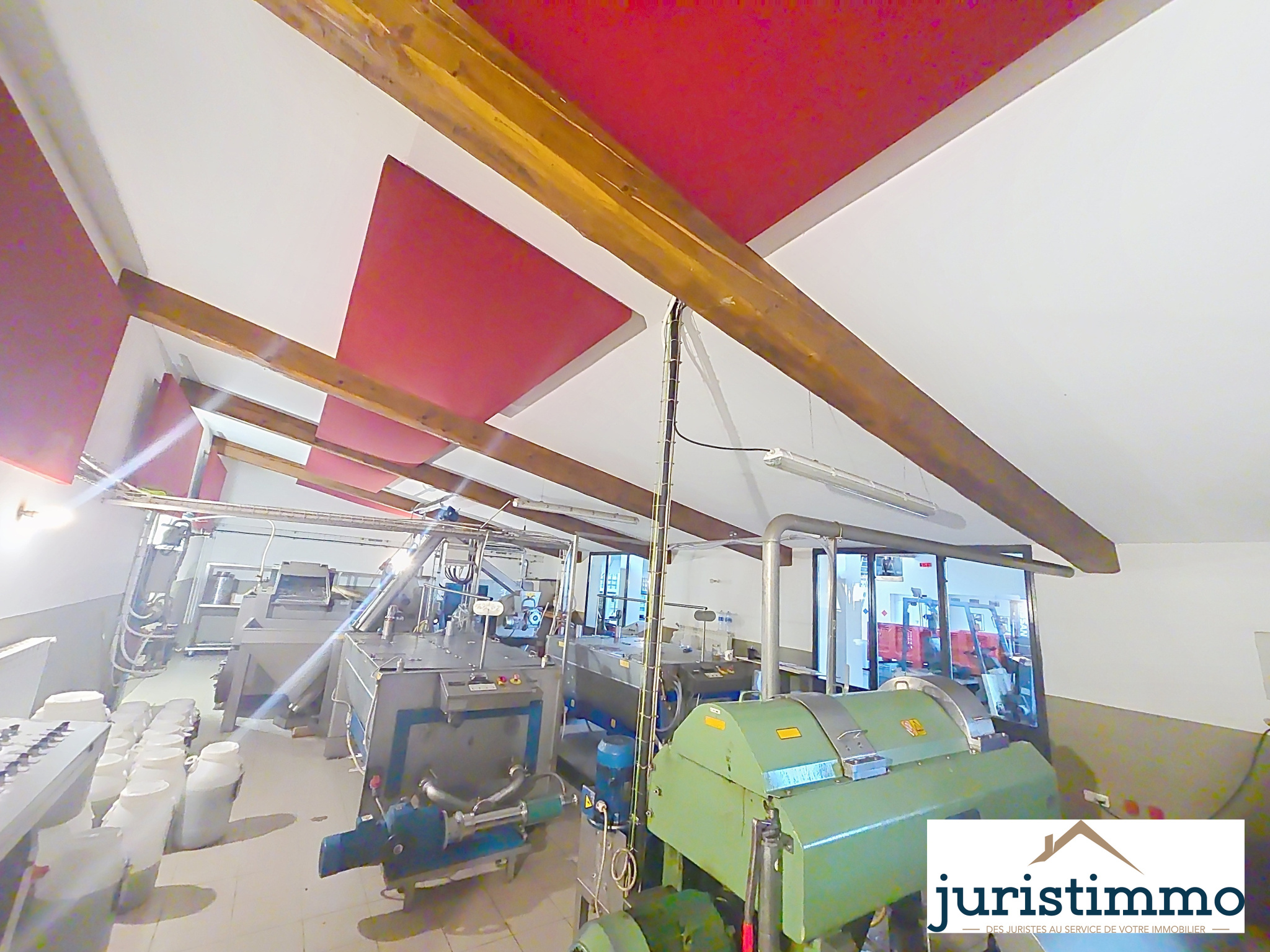 photo_fe5bb47d726f9edad724c66bc2347808