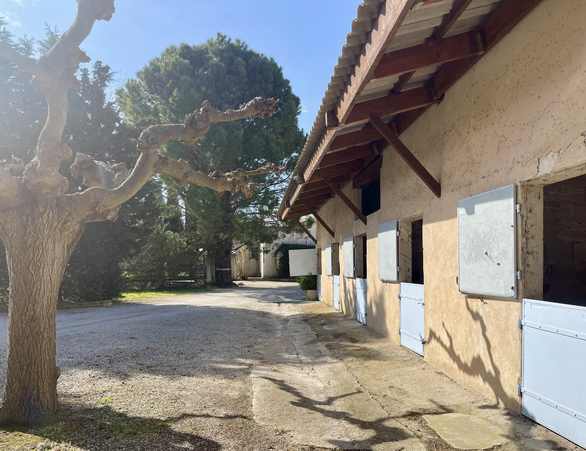 photo_c247c5d848dfdfbcb2046166d5f46547