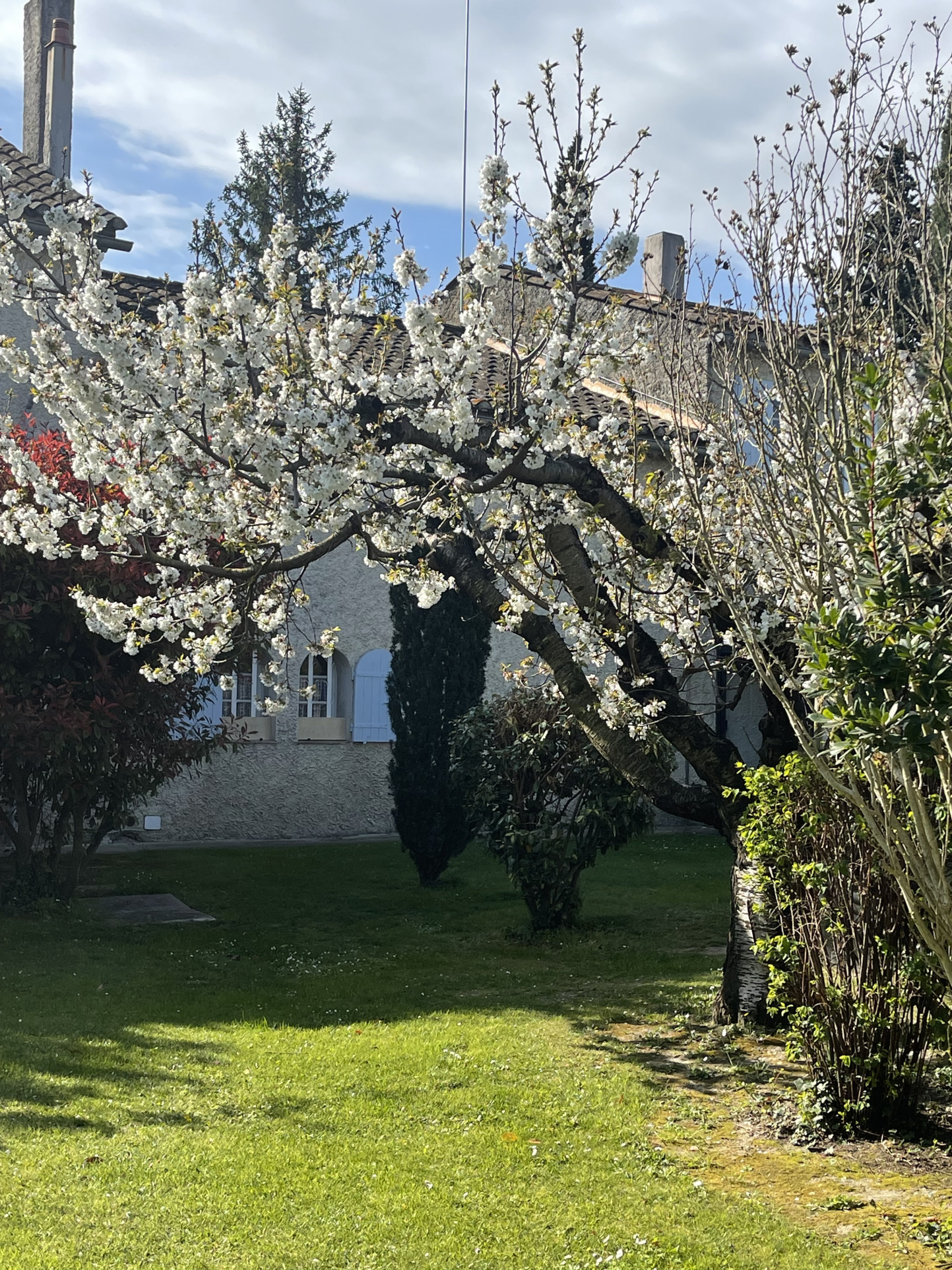 photo_e2b380913afb718c2c1945866c5d4326