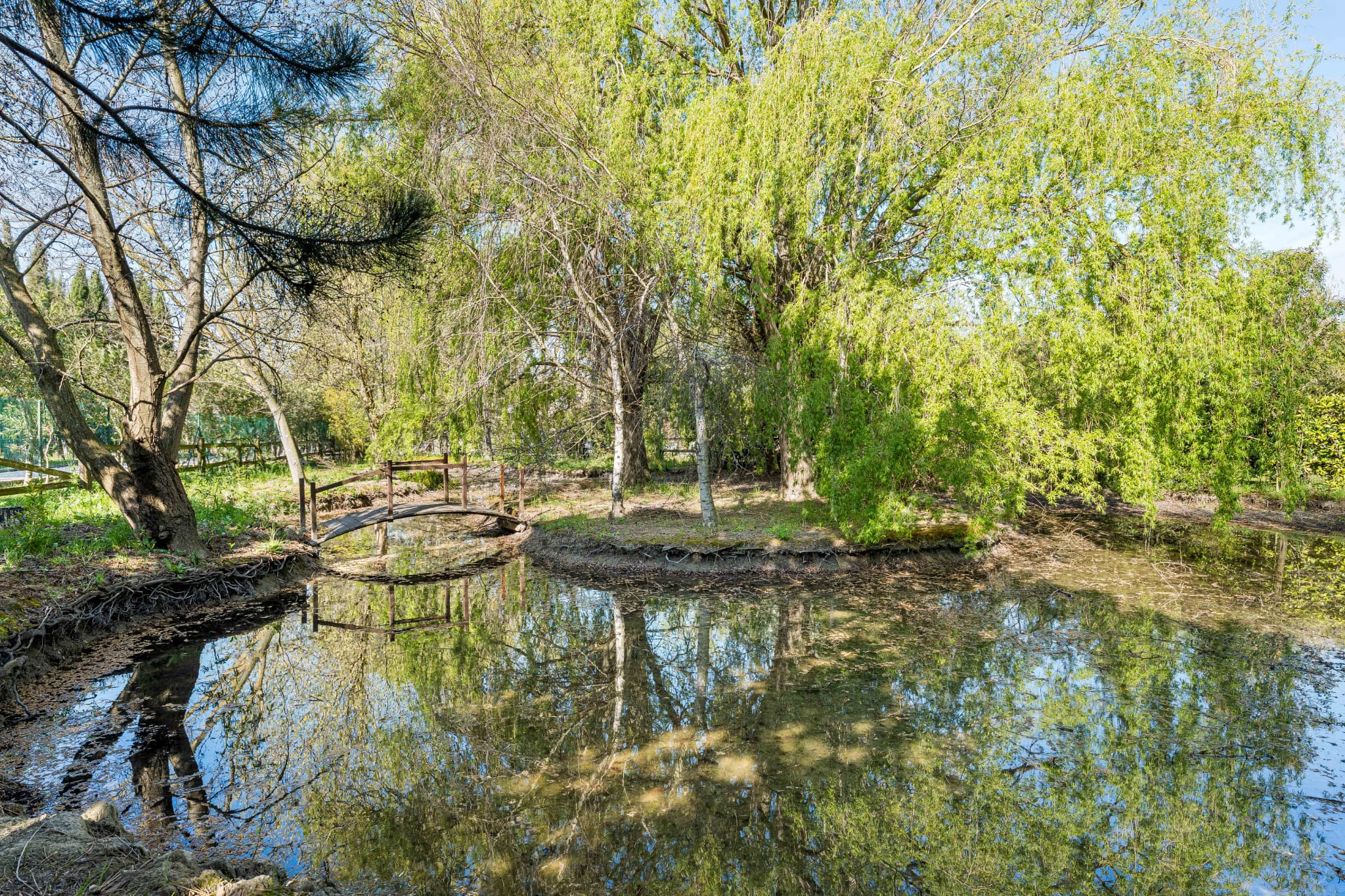 photo_f0d291eb8748d99e280fa663271df2ad