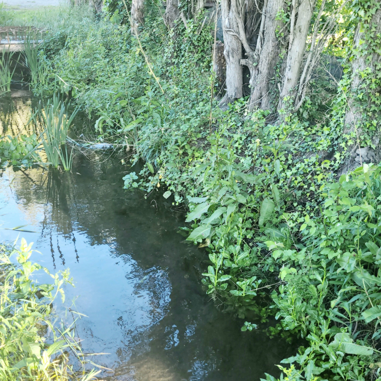 Port of Nice - Magnificent 4/5 rooms with balcony and port view