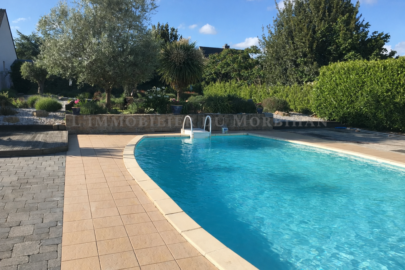 photo_774fc7f803dacf497e74f8dd3d31a27e