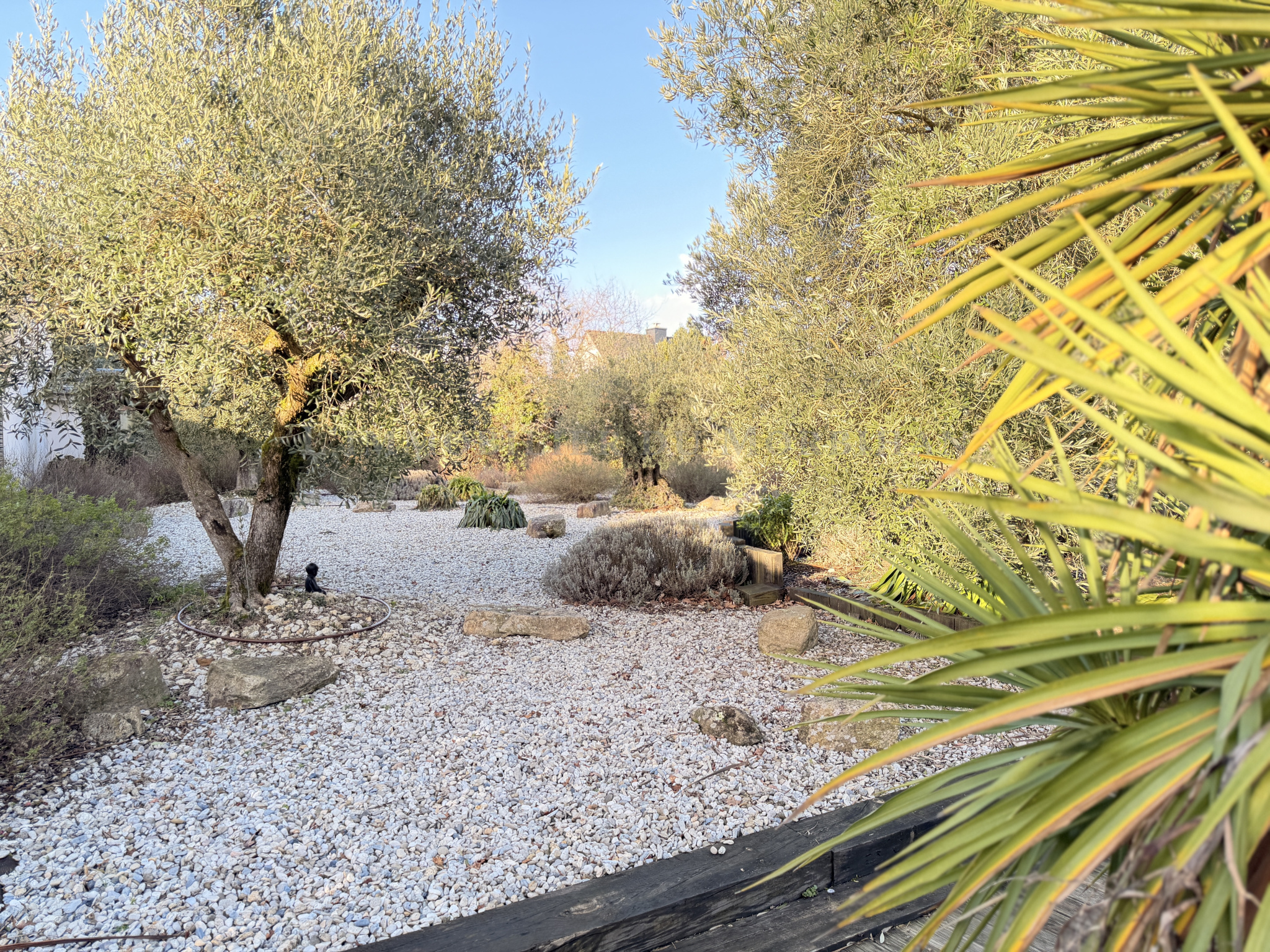 photo_8de69f99bc3866666ff7914dafae7938