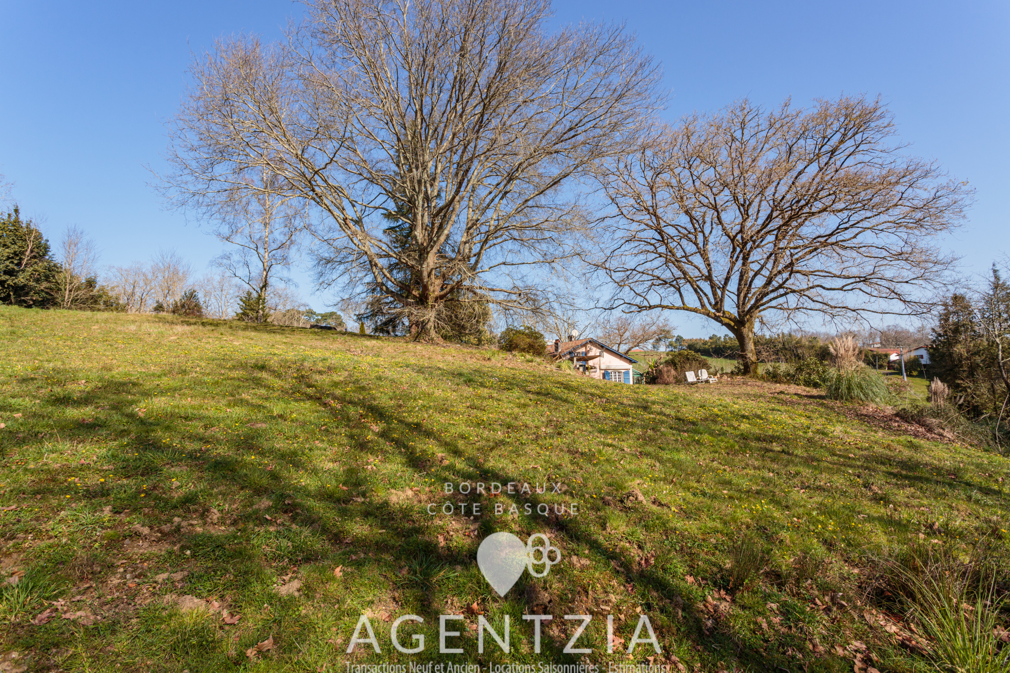 photo_737e6d6b6cff5d4df3c1682f388ec424