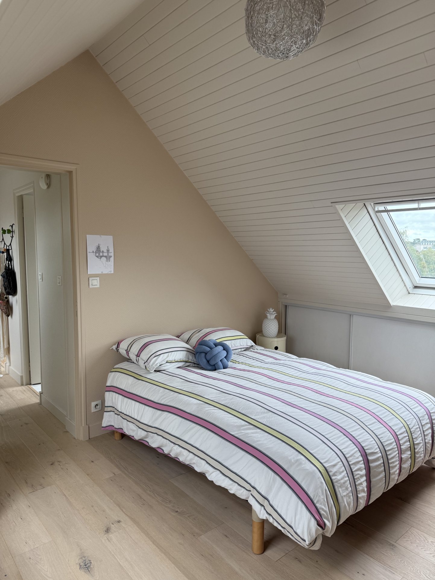 photo_4609584513cb7bf246c9622af82b2f5e