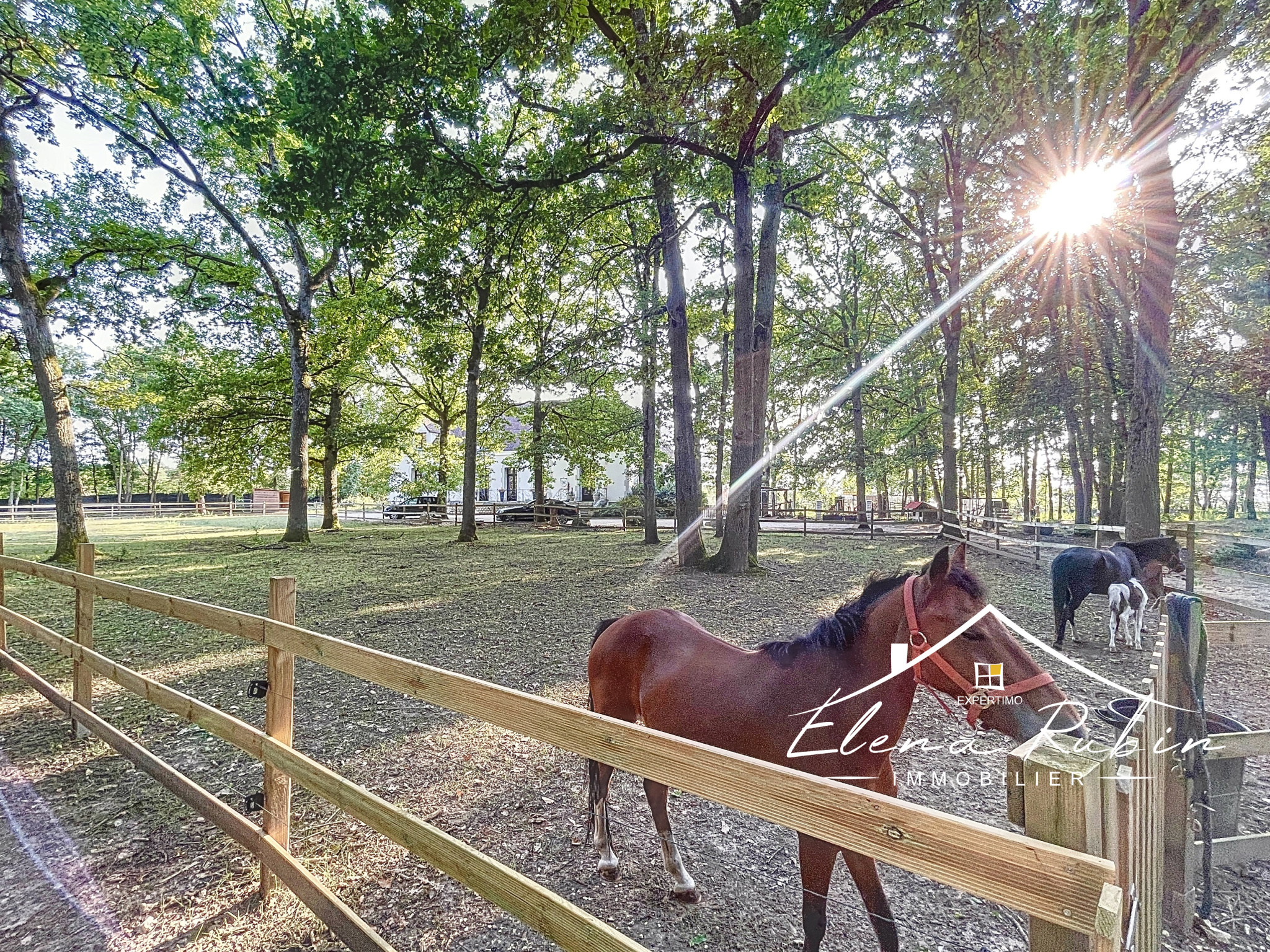 photo_3dfd09896902376f8bcac21fb9c04757