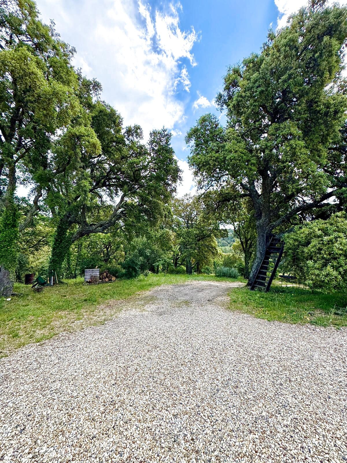 photo_da268196f0b5c52f48f4e8a24b8bad89_Inc_0