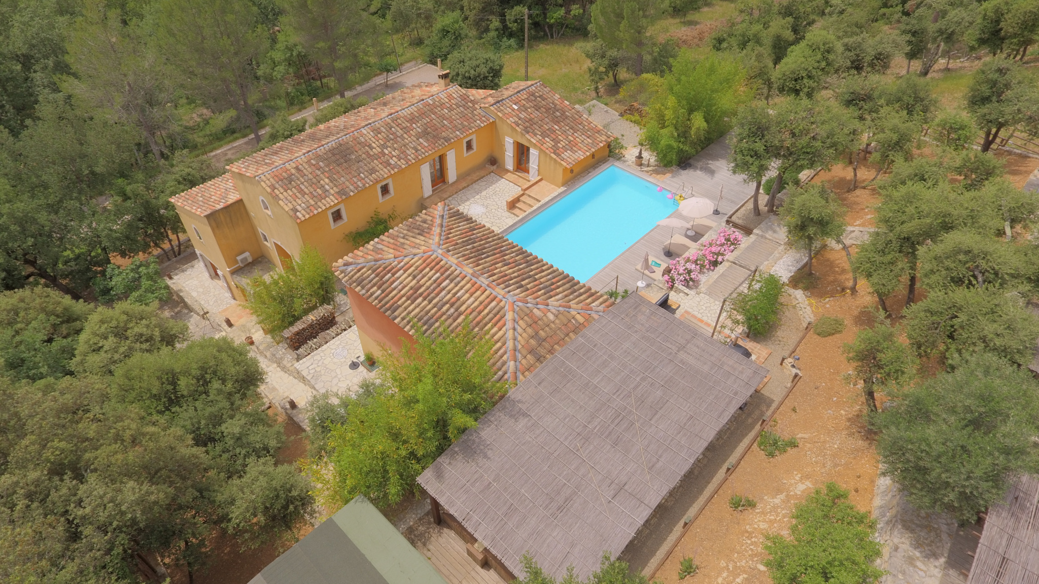 photo_099f35f4c0942d920737488f309becd4