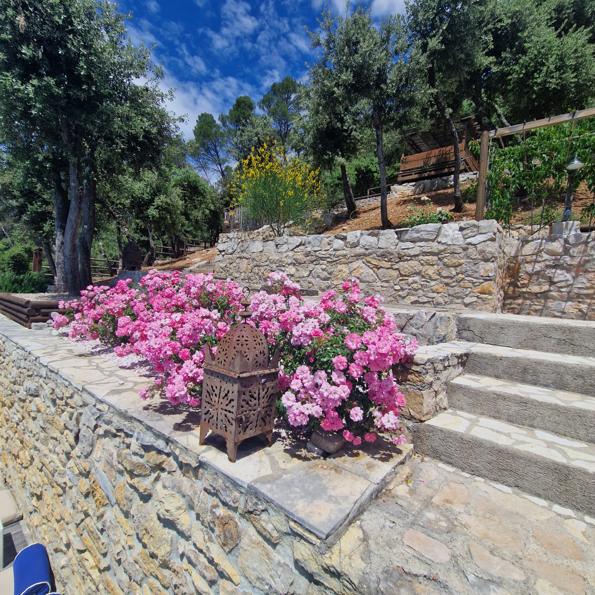 photo_1d97cc50bcf115a3500a8a4d14f953eb