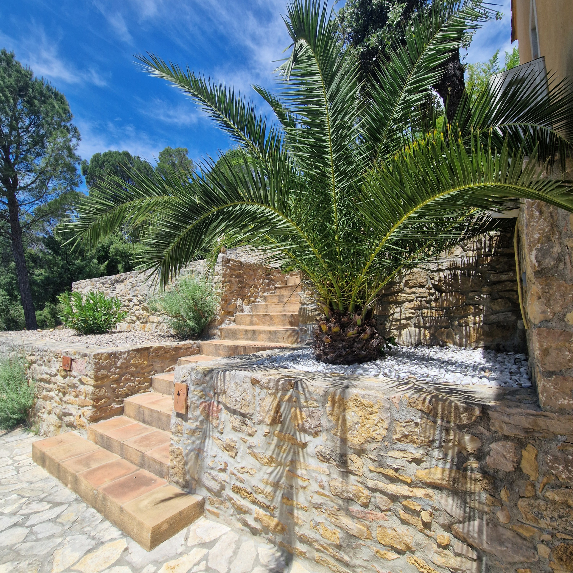 photo_7101abff76d306bdd9753ce34f942708