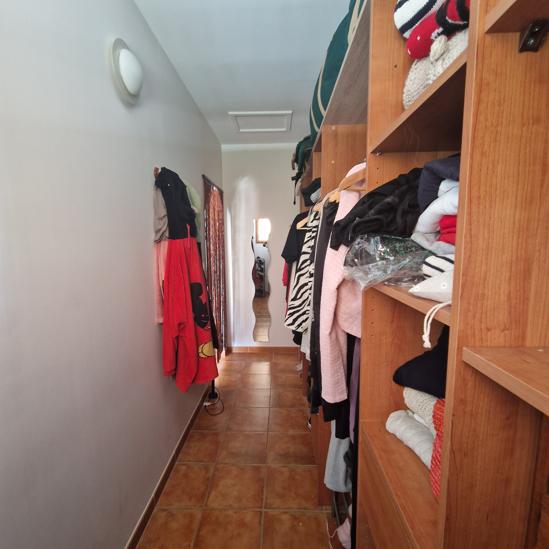 photo_88efbc51b5203ce5ce2477424f0334a0