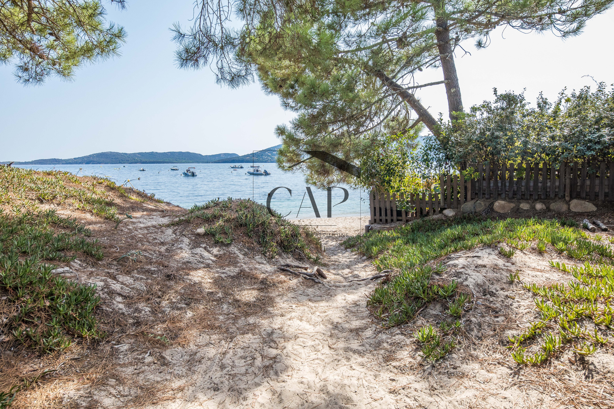 photo_8a220a116afa8a3a4de936e615bbc223