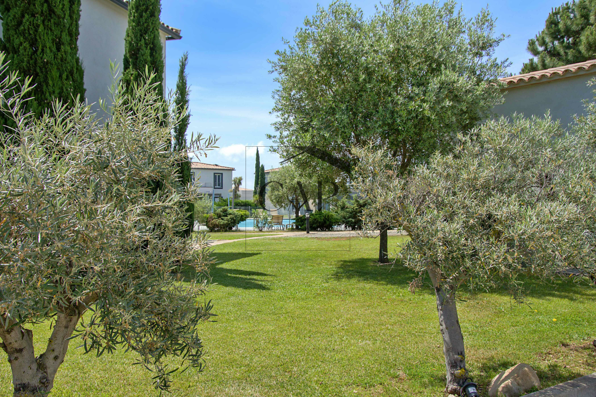 photo_d1f27d556fb1b3d18d651d39a84c3f93