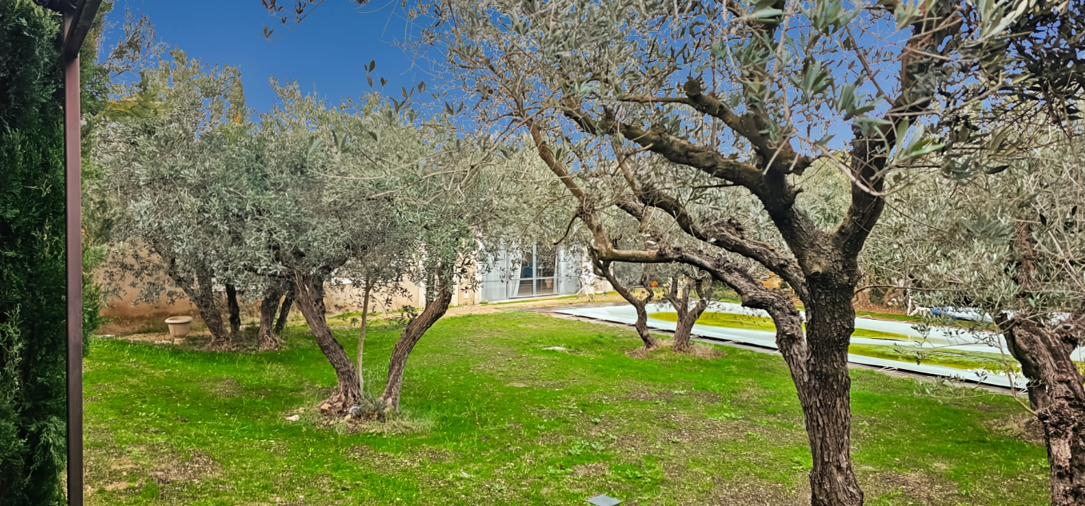 photo_657b656c448d75d25a6b20dfa862e67d