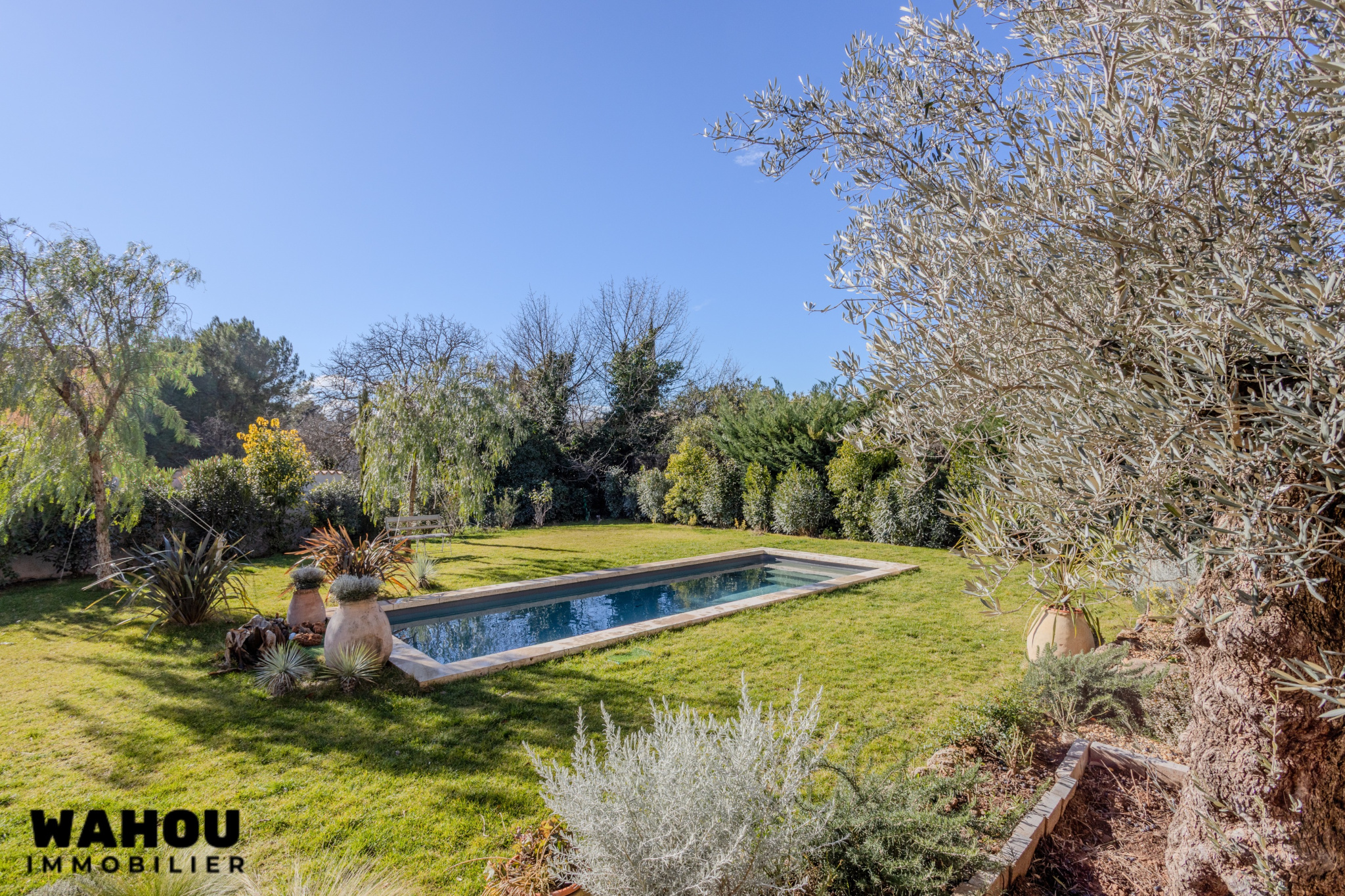 photo_2f763509682116d52b2945f25742bc2e