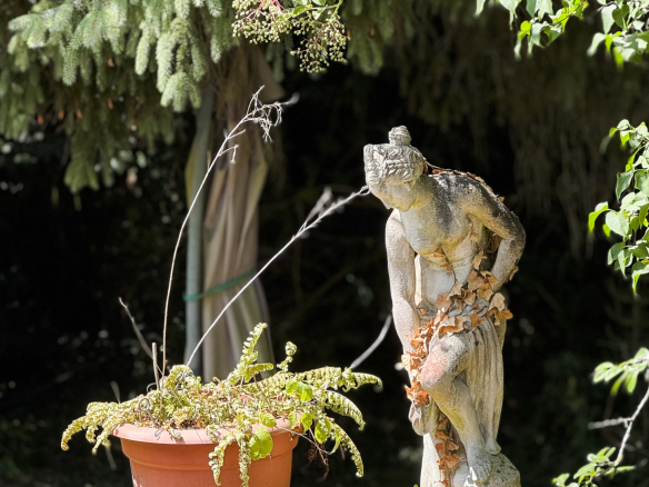 Maison d’architecte 5 pièces de plain pied Centre ville Sain