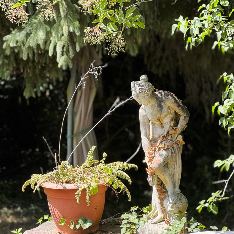 MAISON FAMILIALE DE 5 CHAMBRES AVEC PISCINE  SUR LA COLLINE
