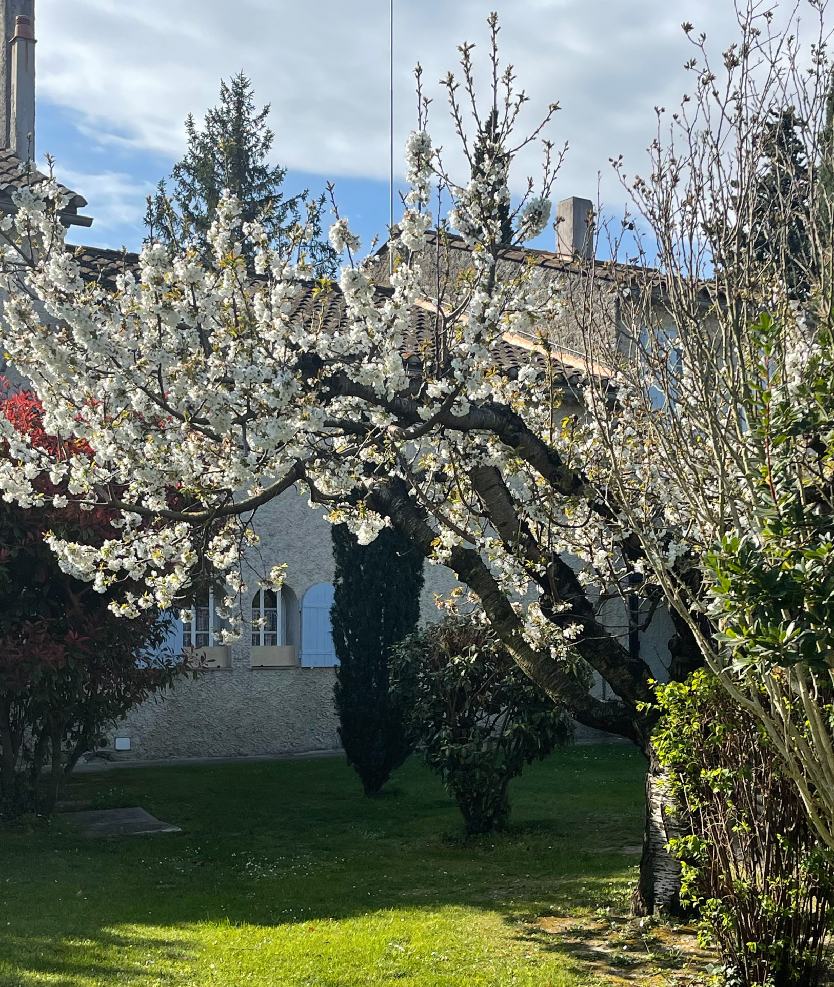 photo_df08f2f00db3fe0ddf64ea30e0d73770