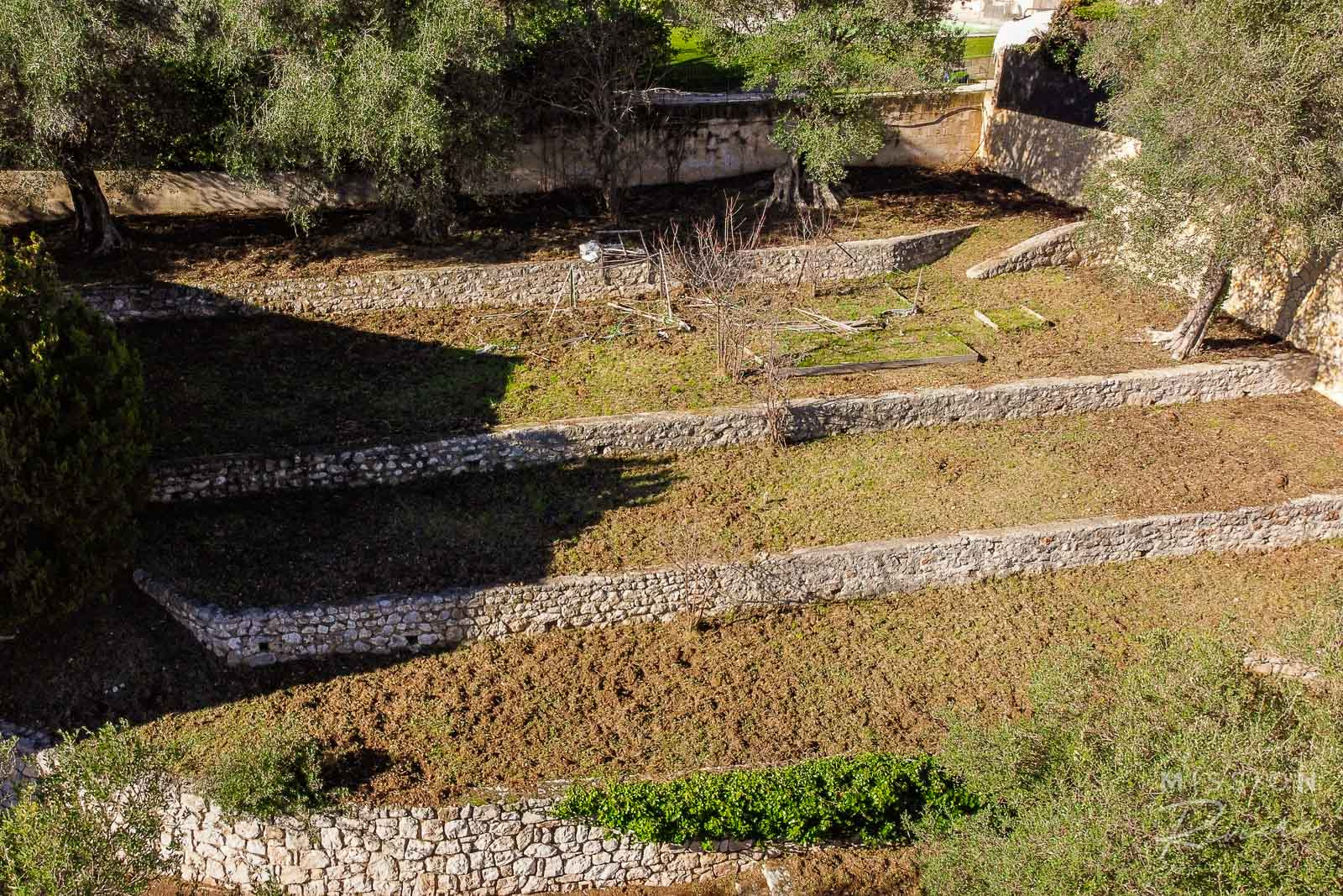 photo_b9ccd93938c4c0fba50d85d8eeff2214