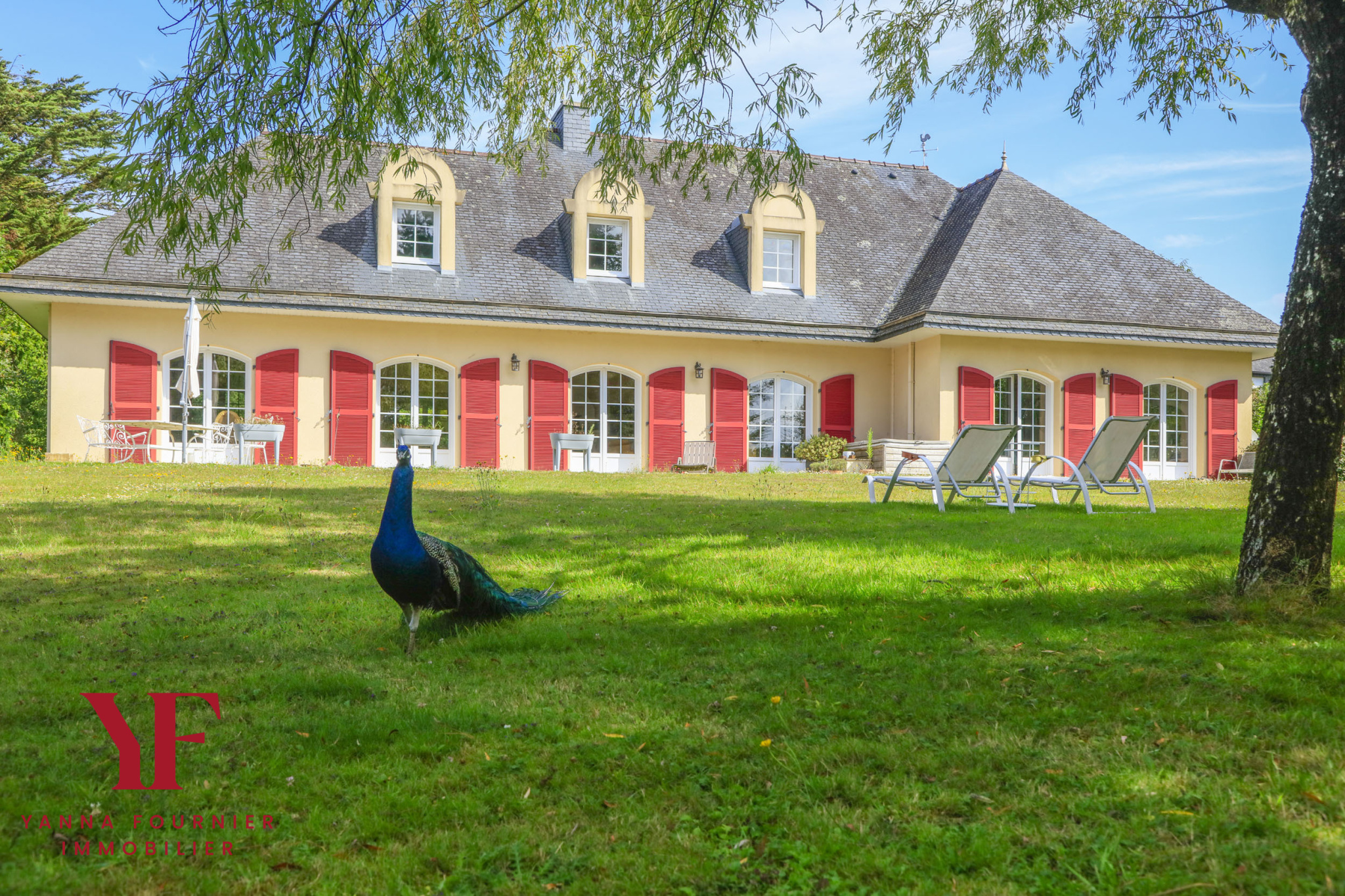 photo_03618d4eb71806395118f0385eeda71a