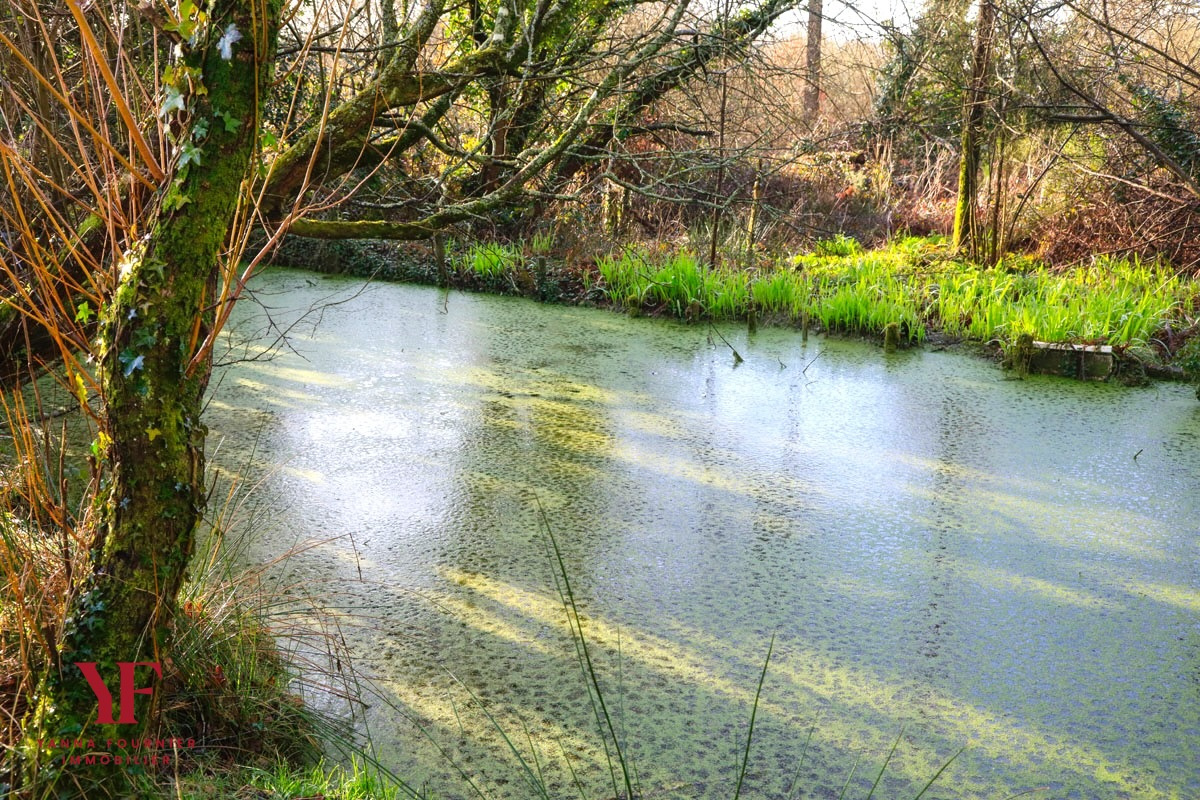 photo_4c804f32bc0ff3d34d9000d73578c6c1