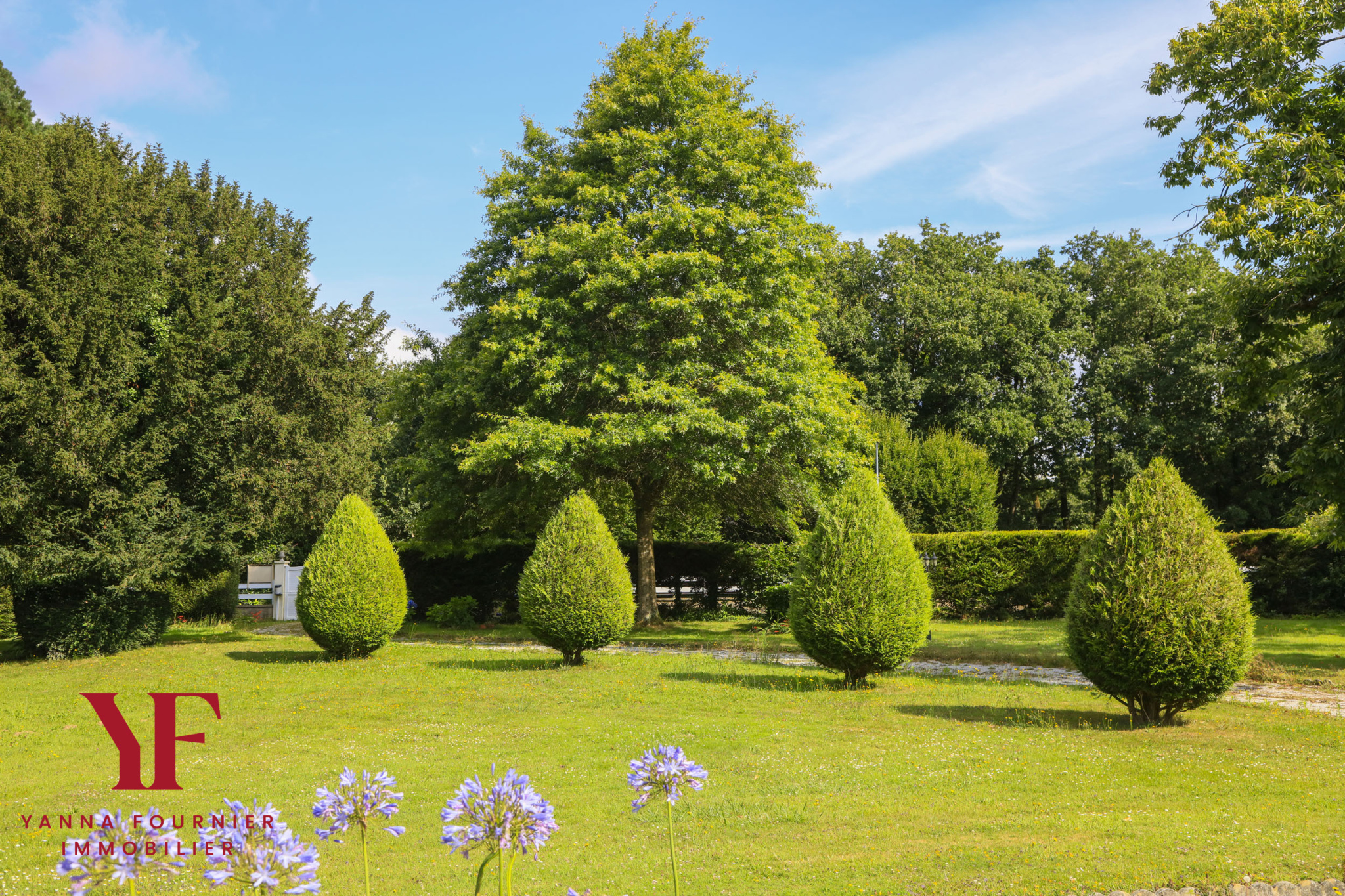 photo_a876f33fcbec342d9e8f5004502481ab