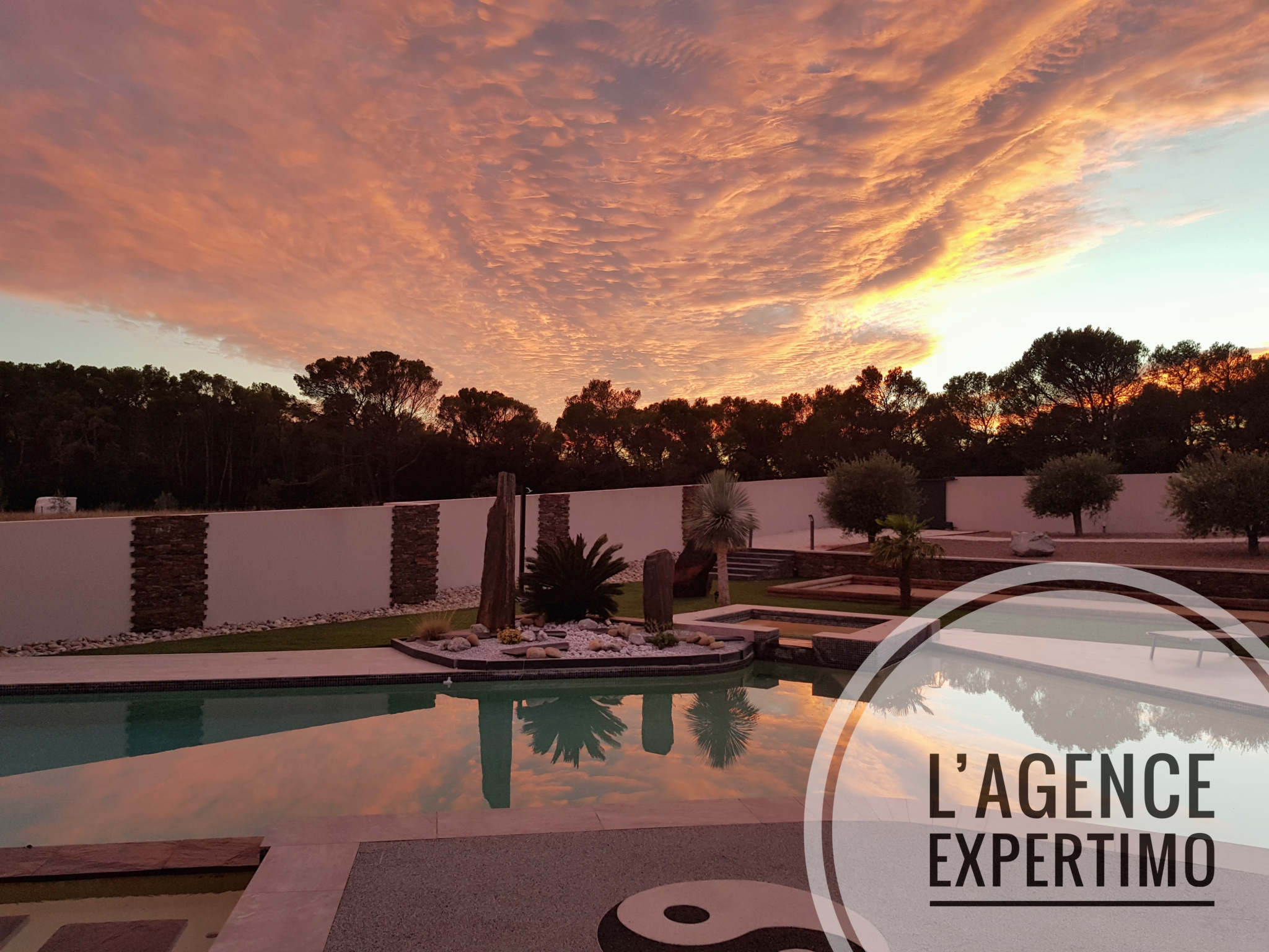 photo_ae9aaca81b718880308c02e10ea9dded