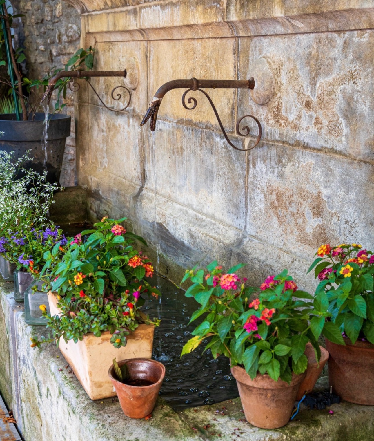 photo_f519c634a790d4fc941539e6f520817c