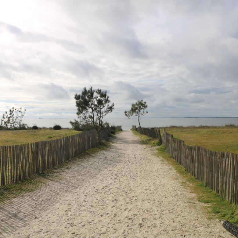 PROPRIÉTÉ DE CARACTÈRE AVEC VUE PANORAMIQUE   DOMAINE RÉNOVÉ