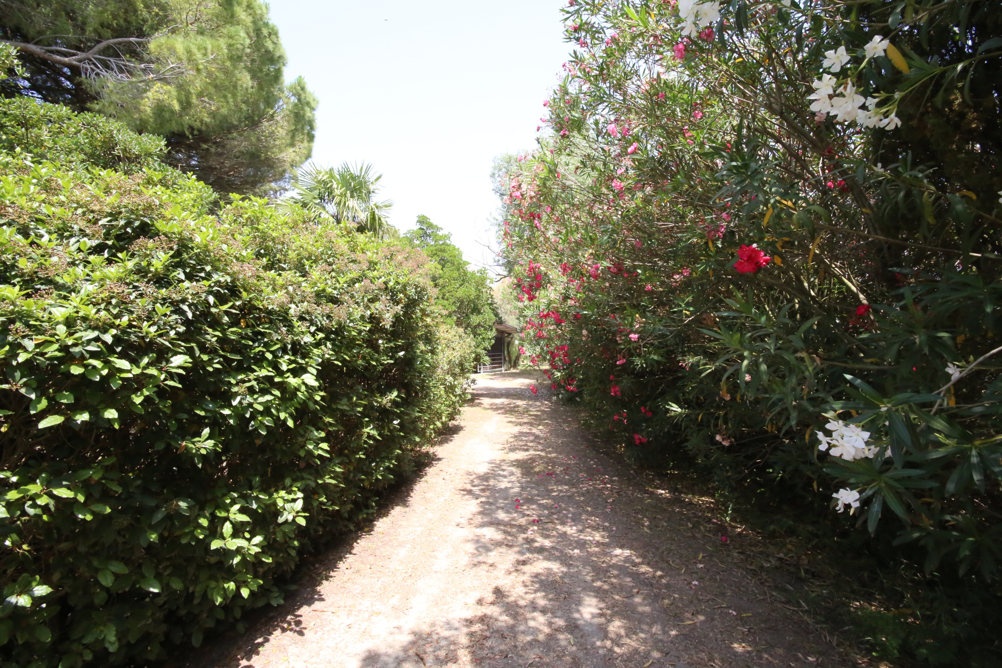 photo_56cbe48c07a8560b43a0908fc81fa021