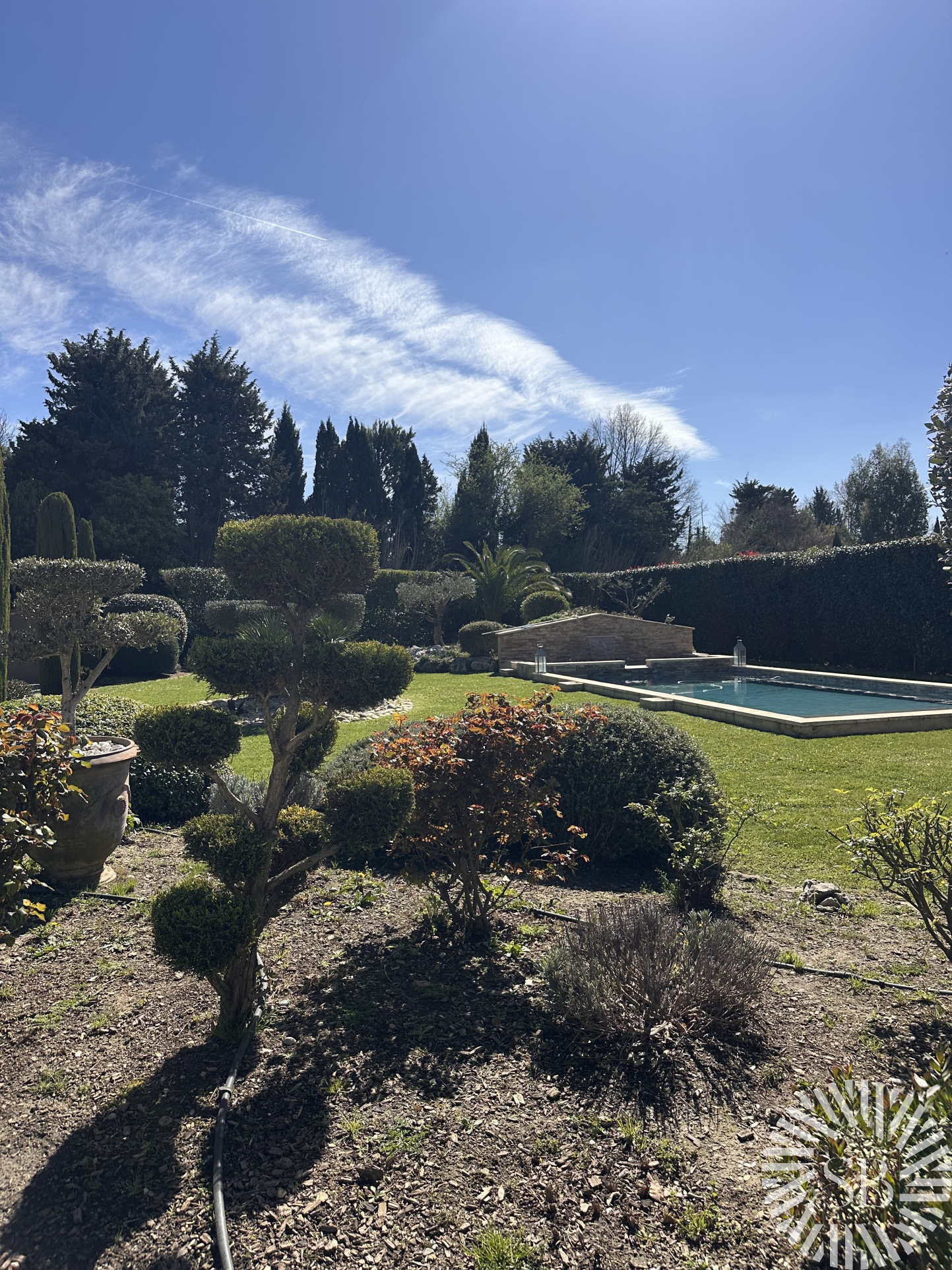 photo_d5d16a202c1f97a3af217cf1565fc3c9