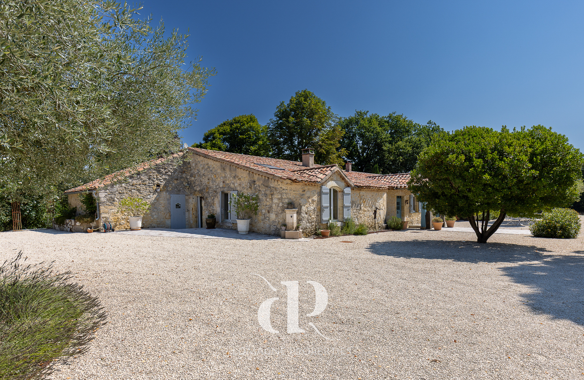 photo_36b77485c965f9d4635ef8bbc2cc40b0