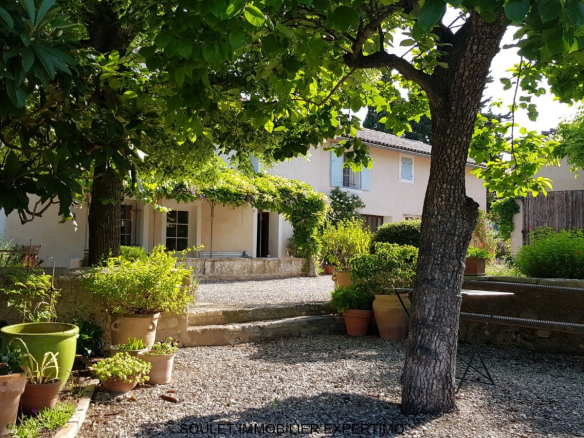 Magnificent property south of Ventoux on 3 hectares