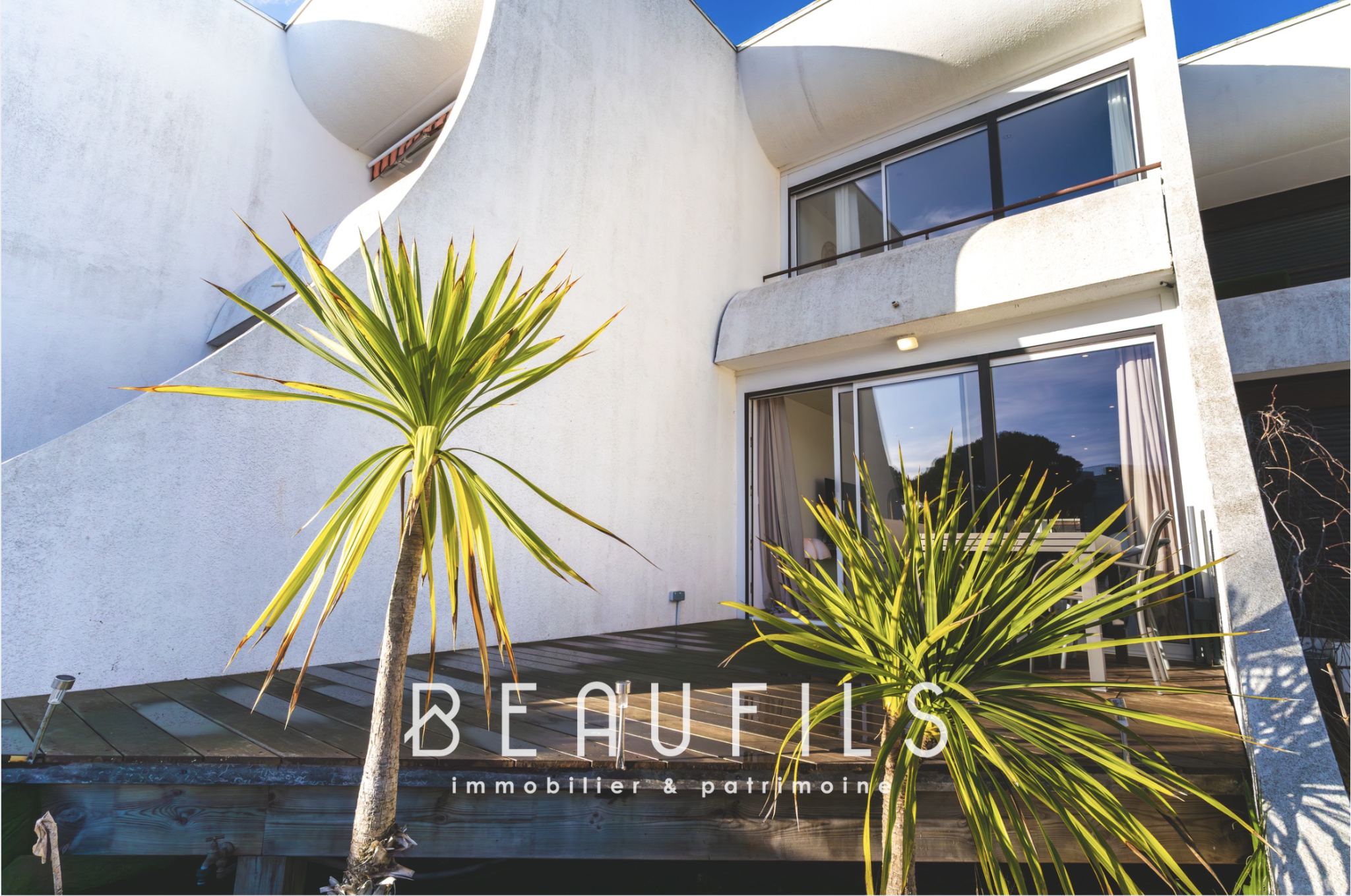 photo_ebf027b817bfbf6ae3bee6c2608d3320