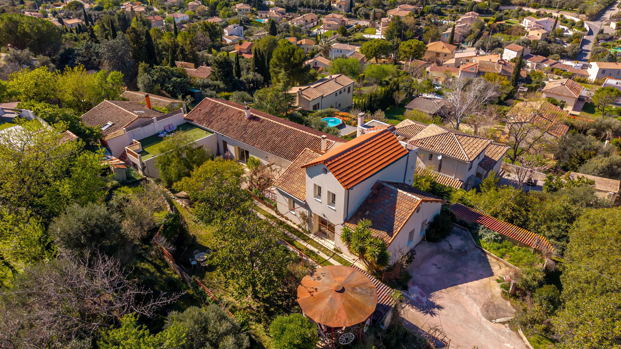 photo_0c365b35a37fe82dc1154ef925498da9