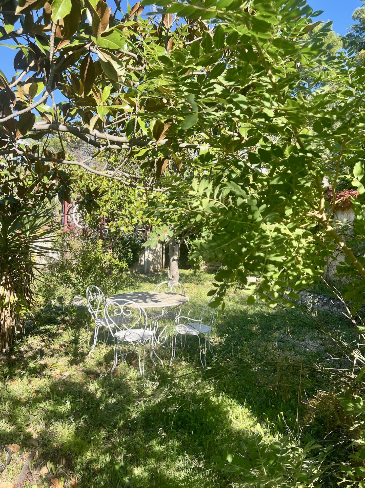 photo_d8d566e2c9aaa525deac81bcf443c221