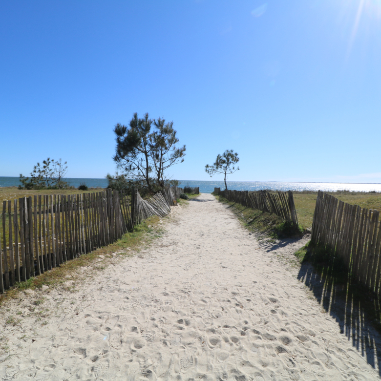 Superbe villa californienne bénéficiant d’une vue mer et village exceptionnelle, au cœur du secteur le plus recherché de Mougins