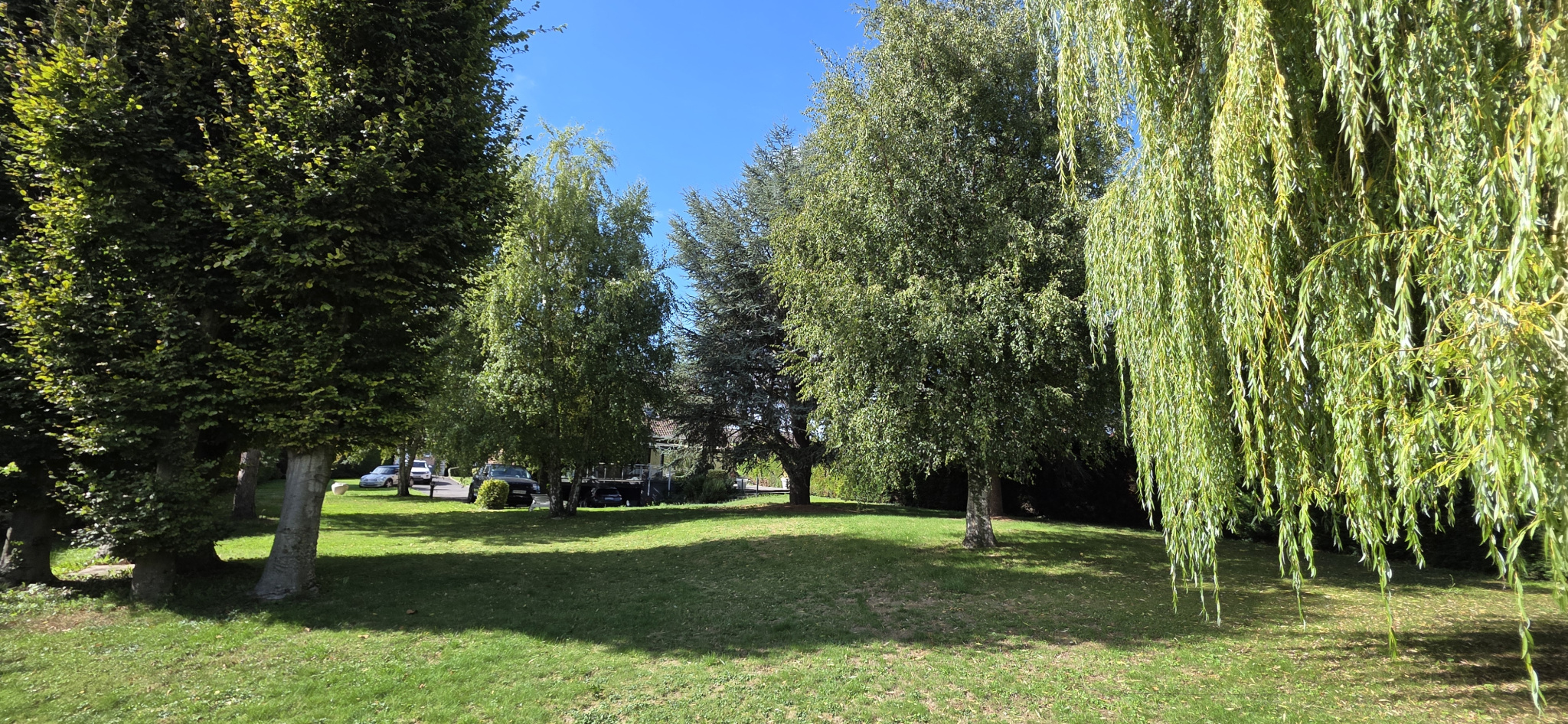 photo_906bcb8354e89df9fc001e8ffc990bff