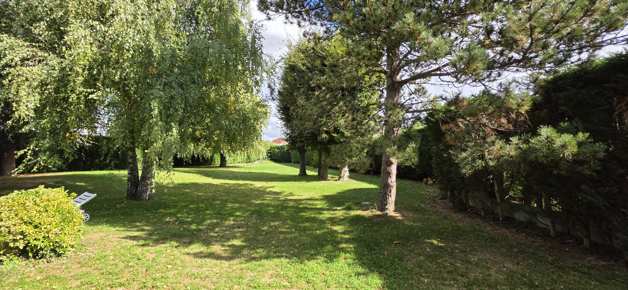 photo_a8b87054c94a69a7a1d26f6f83786b56