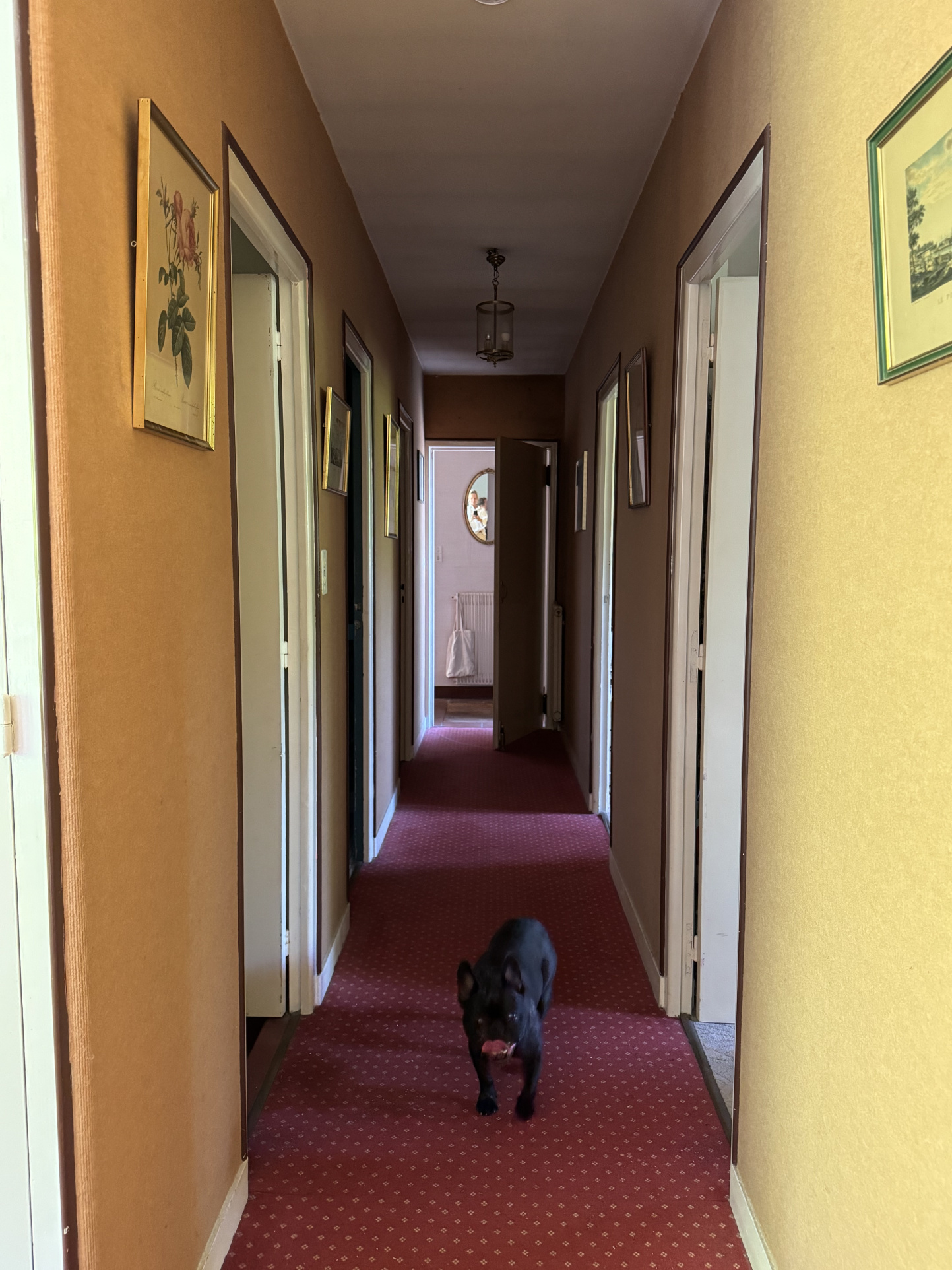 photo_0baf2ae87de1e146aa3584777417ed31