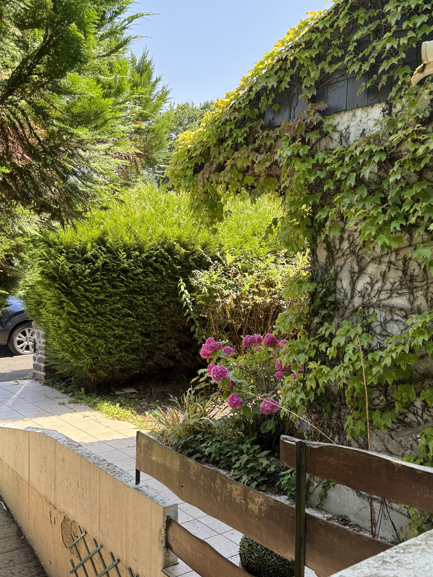 photo_786c70e7e4ae1184cf4be2a31a6bae98