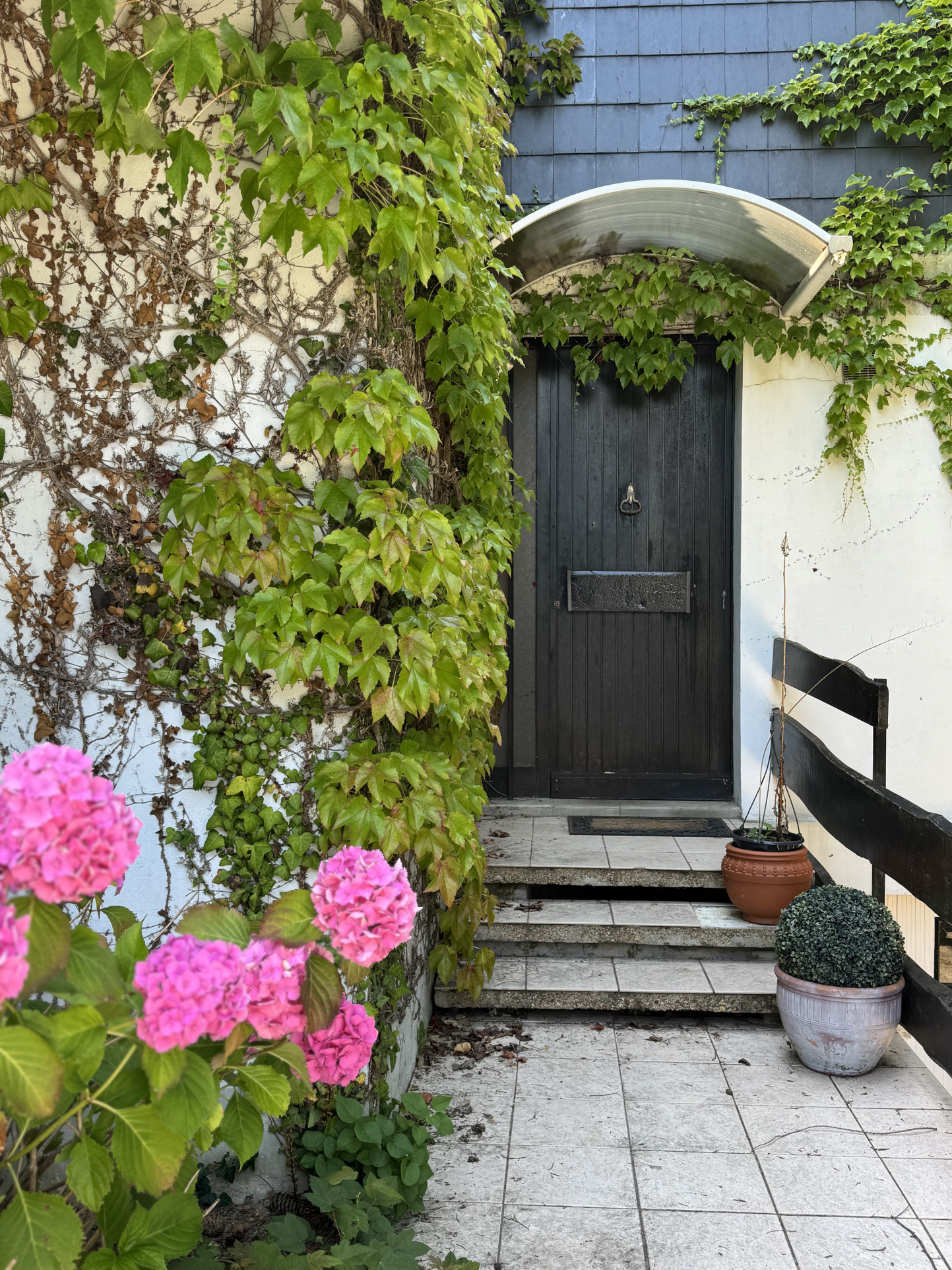 photo_8e5bcb63158d0334505a589b7e7d6e70