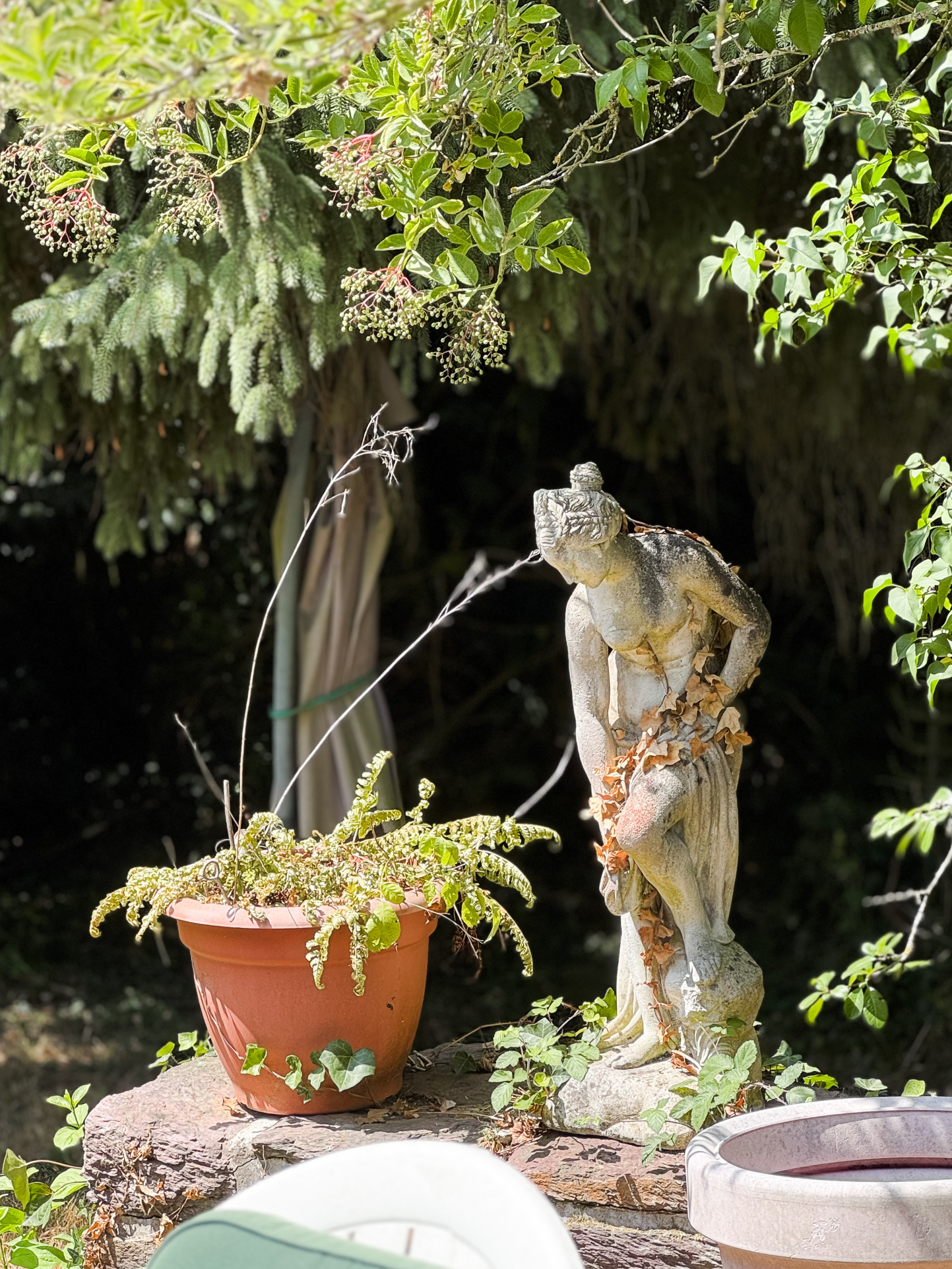 photo_c2bd6bb48aa01b631c90b91534a77001