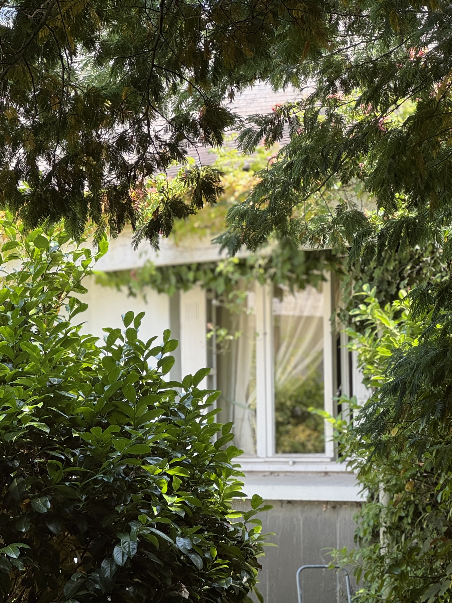 photo_fce23189b45fd6a839a8a881cf0726a3