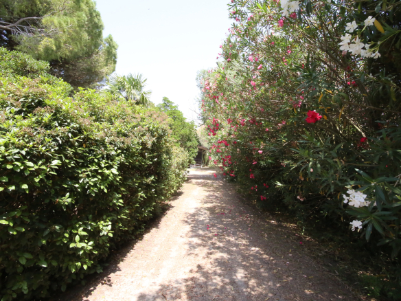 NOUVEAU, IDÉAL POUR CHEVAUX, PARC 1,1 HA, SUPERBE MAS PLEIN