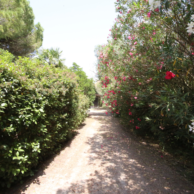 Villa – Mostuéjouls – 265 m²