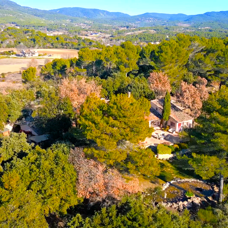 EXCLUSIVELY FOR SALE IN NOVES: VILLA WITH GARDEN