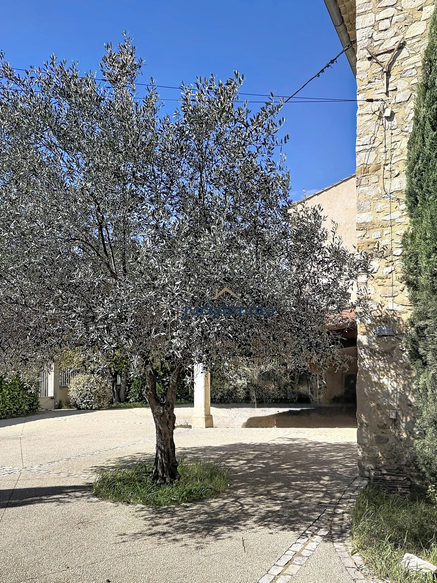 photo_353d631da448f6f3edc2281aba5fbf58