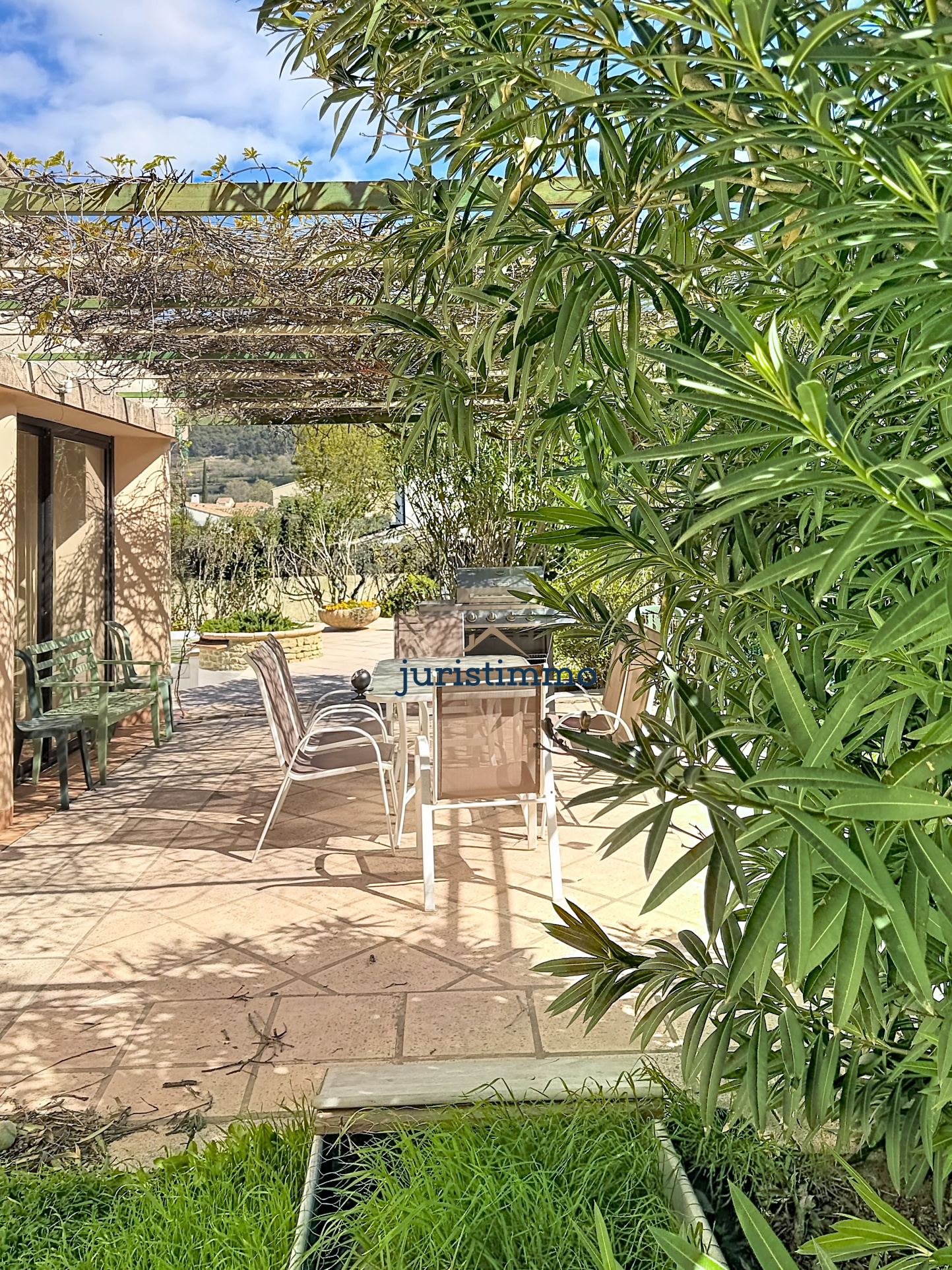 photo_919d7e3fee5dea1e1386ea003ef74af9