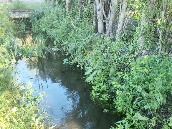 Nouveau, Propriété de 3 ha avec Mas de 500 m2 env